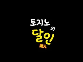 토지노